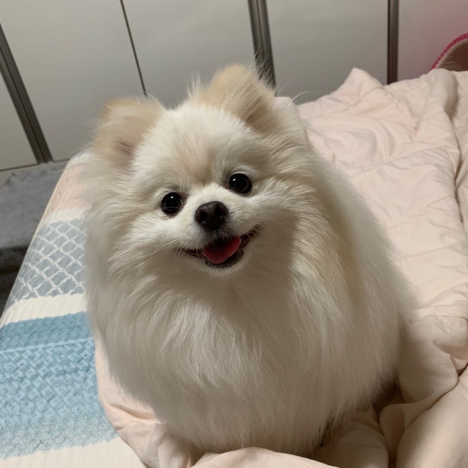 미용 전